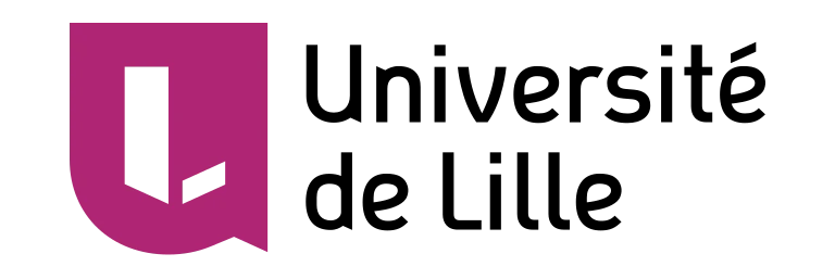 Université de Lille Université de Lille